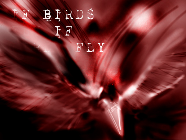 If-Birds-Fly.