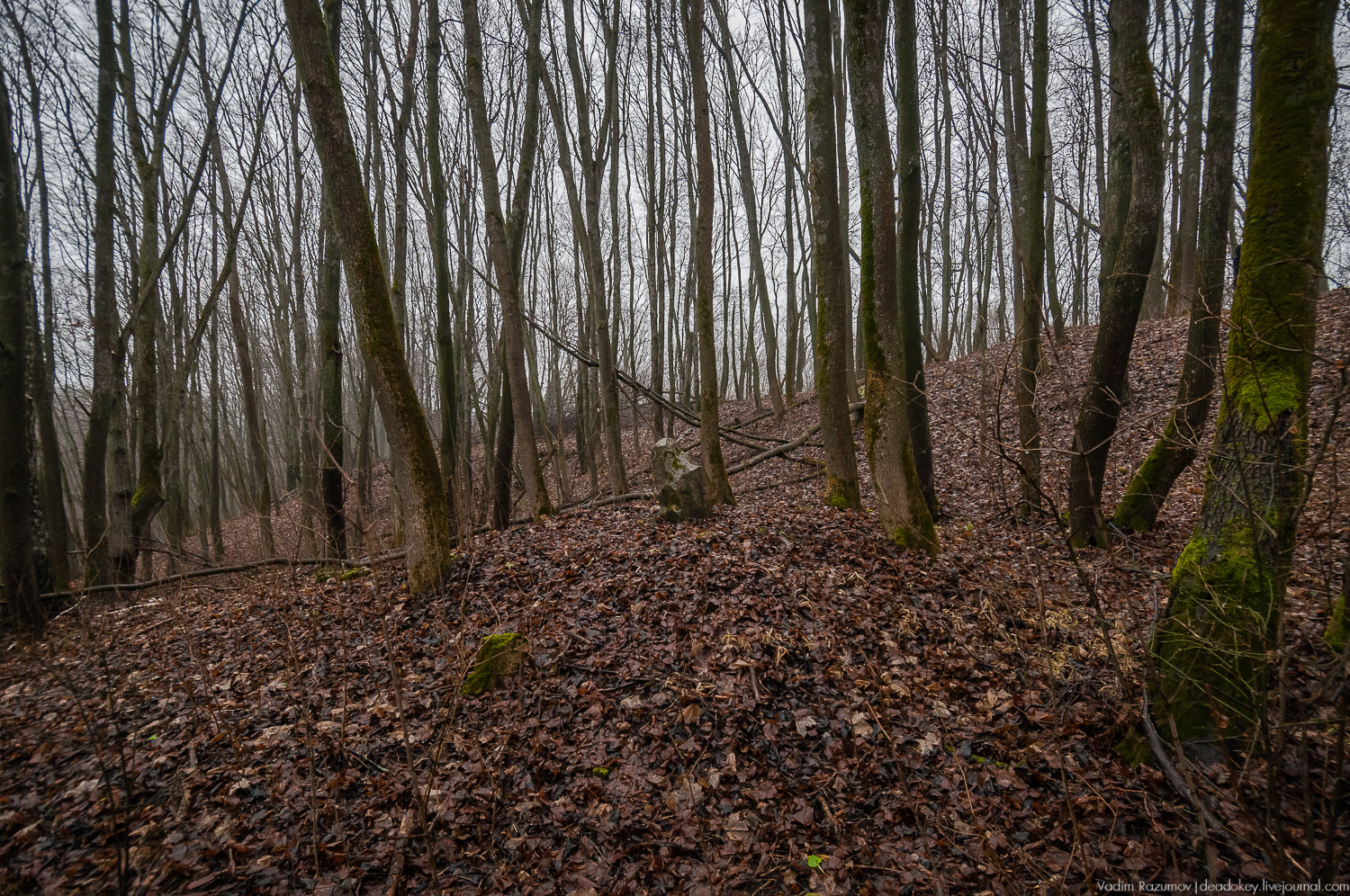 усадьба Пальна-Михайловка, аудиогид по усадбе, фото Вадим Разумов