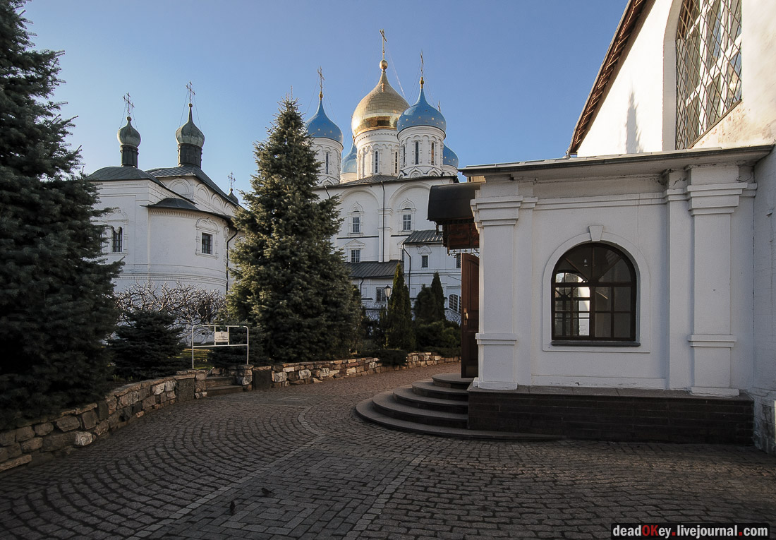 Новоспасский монастырь