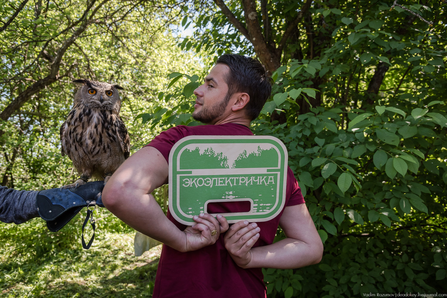 Экоэлектричка. Совиный фестиваль