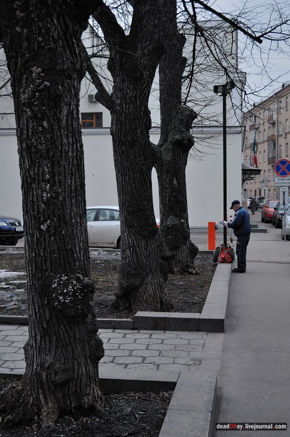 усадьба A. M. Полторацкого (Сабашниковых), Б. Левшинский пер., 6