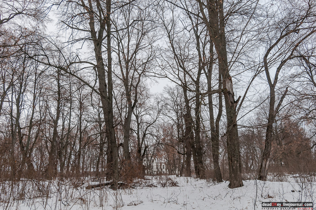 усадьба Репец