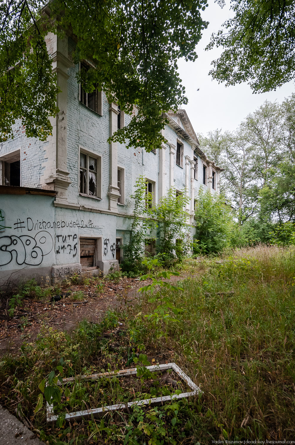 усадьба Лапино-Спасское, г. Королев, Усадебные волонтеры