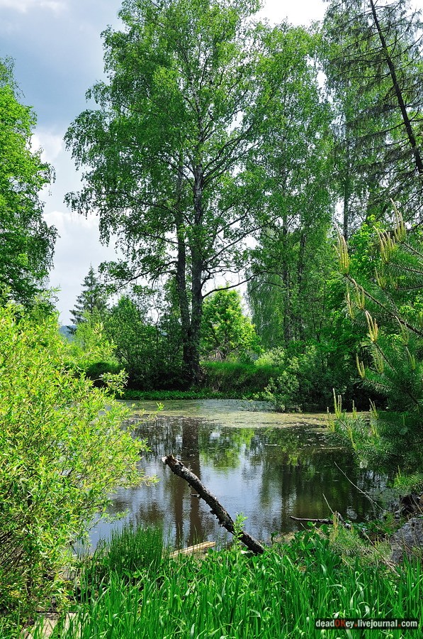 усадьба Спасское