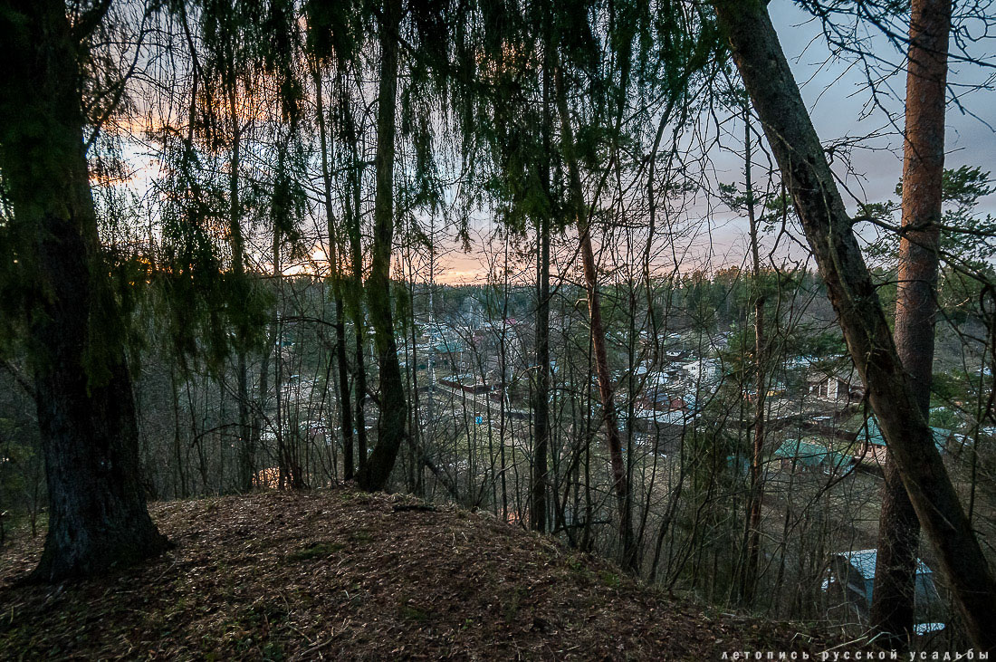 Усадебный экспресс. Звенигород.