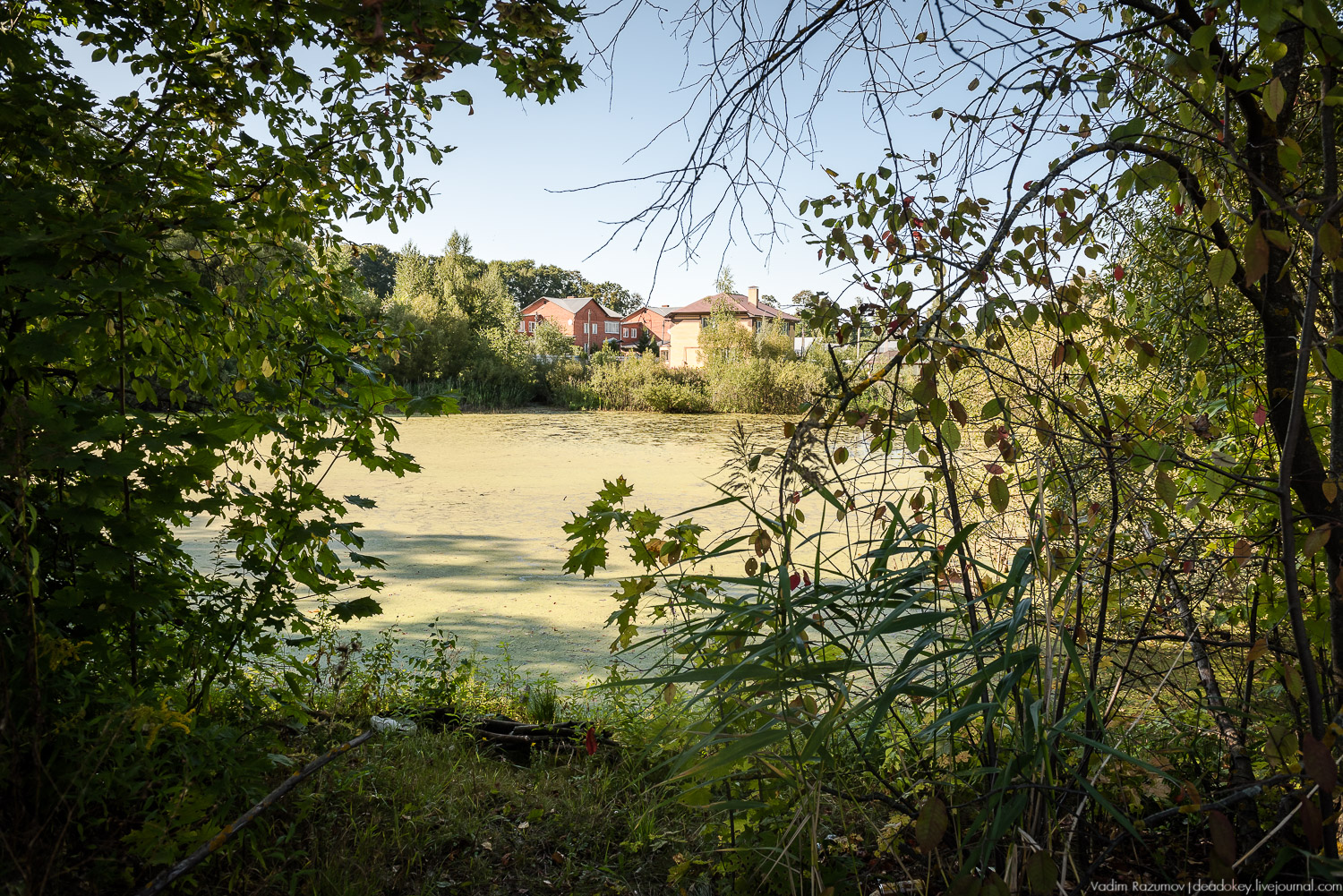 усадьба Сергиевское-на-Упе, Усадебные волонтеры 24 августа 2019 года