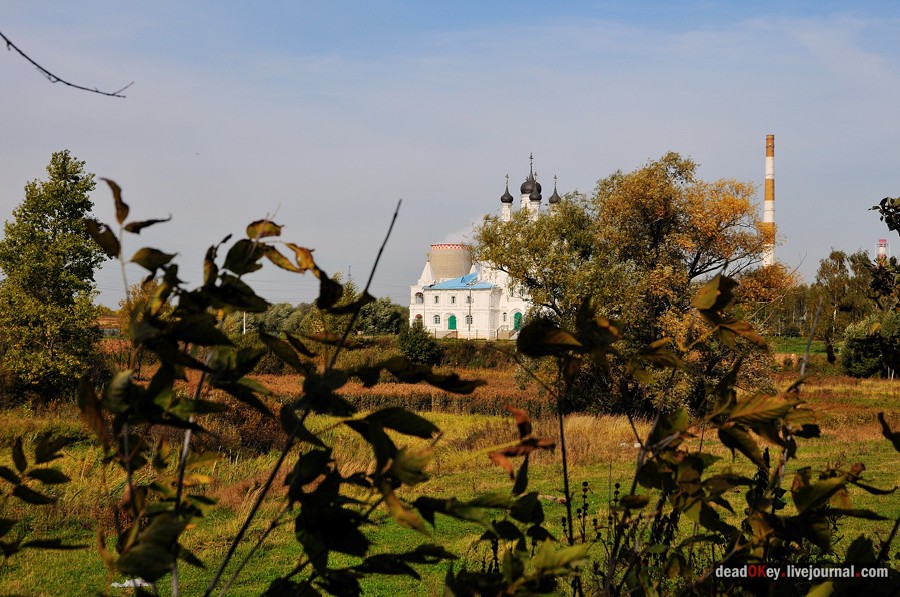 усадьба Тайнинское