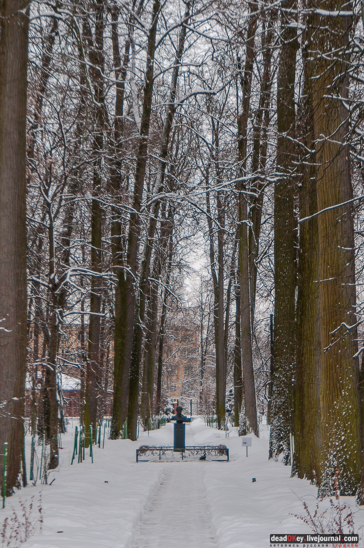 усадьба Большие Вяземы