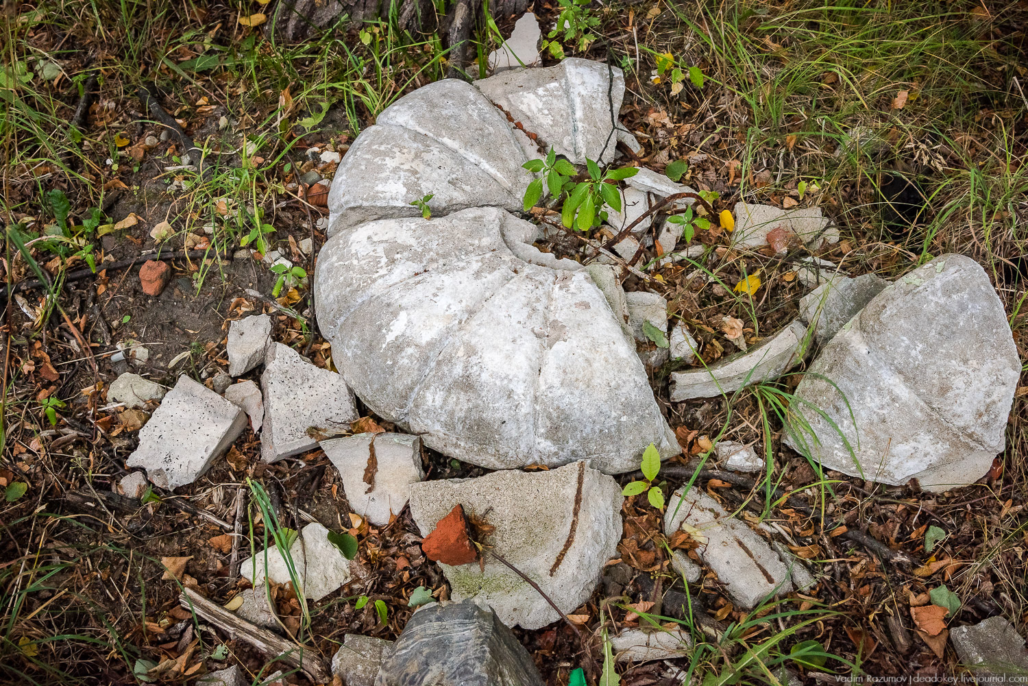 усадьба Лапино-Спасское, г. Королев, Усадебные волонтеры