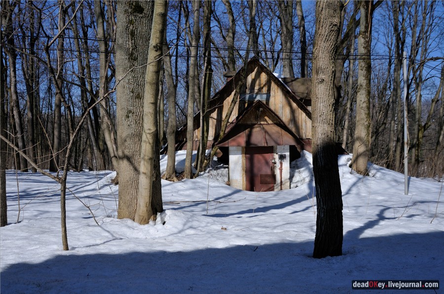 усадьба Узкое