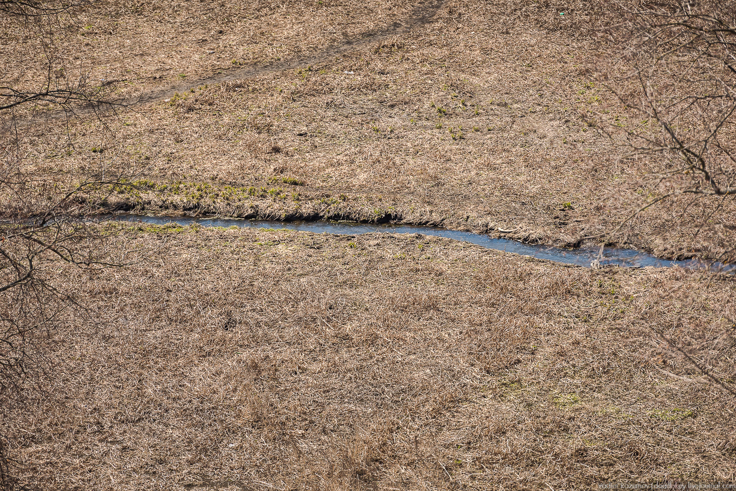 усадьба Мещерское