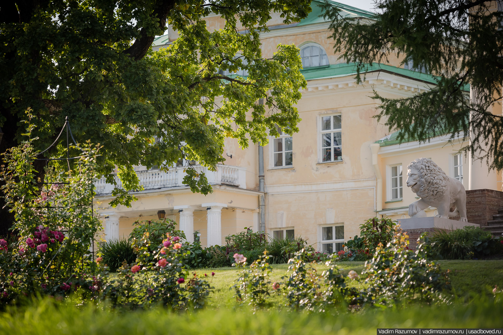 усадьба Марьино Строгановых, розарий, розы, сад