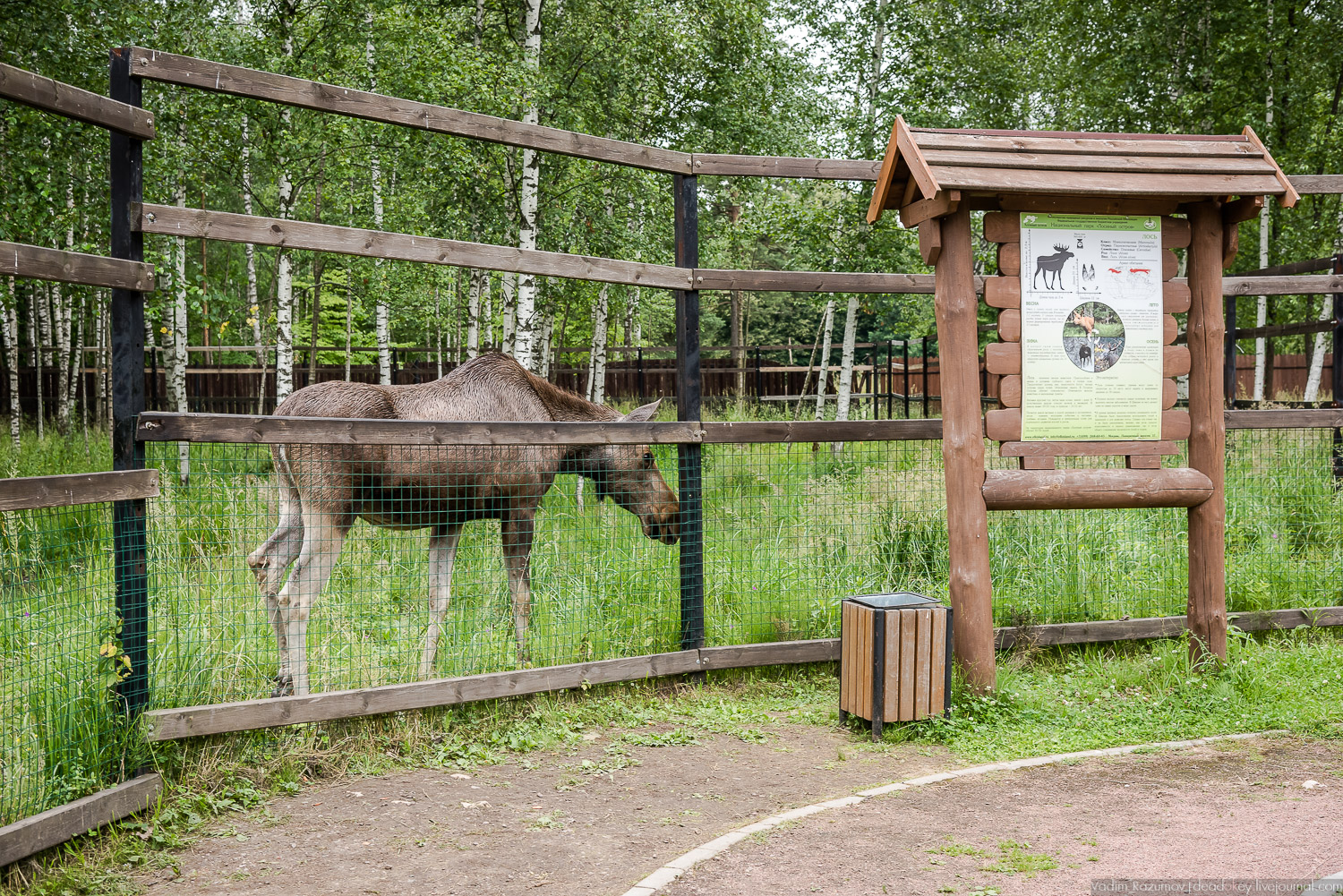 Лосиный остров