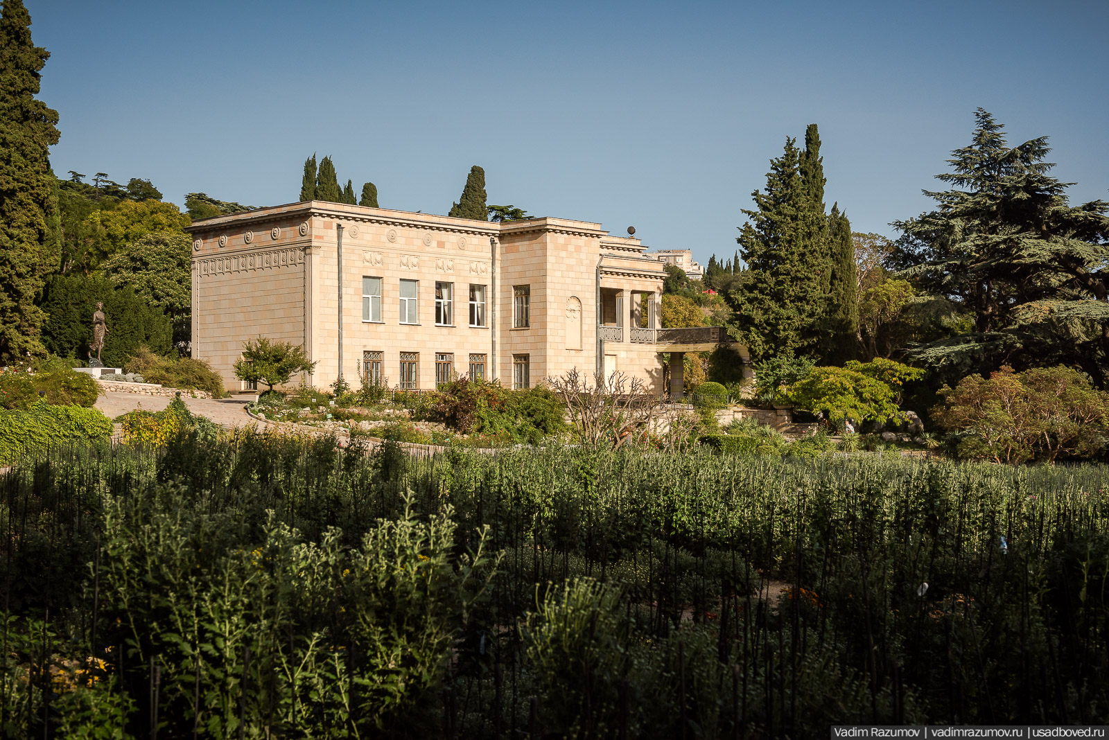 Никитский ботанический сад