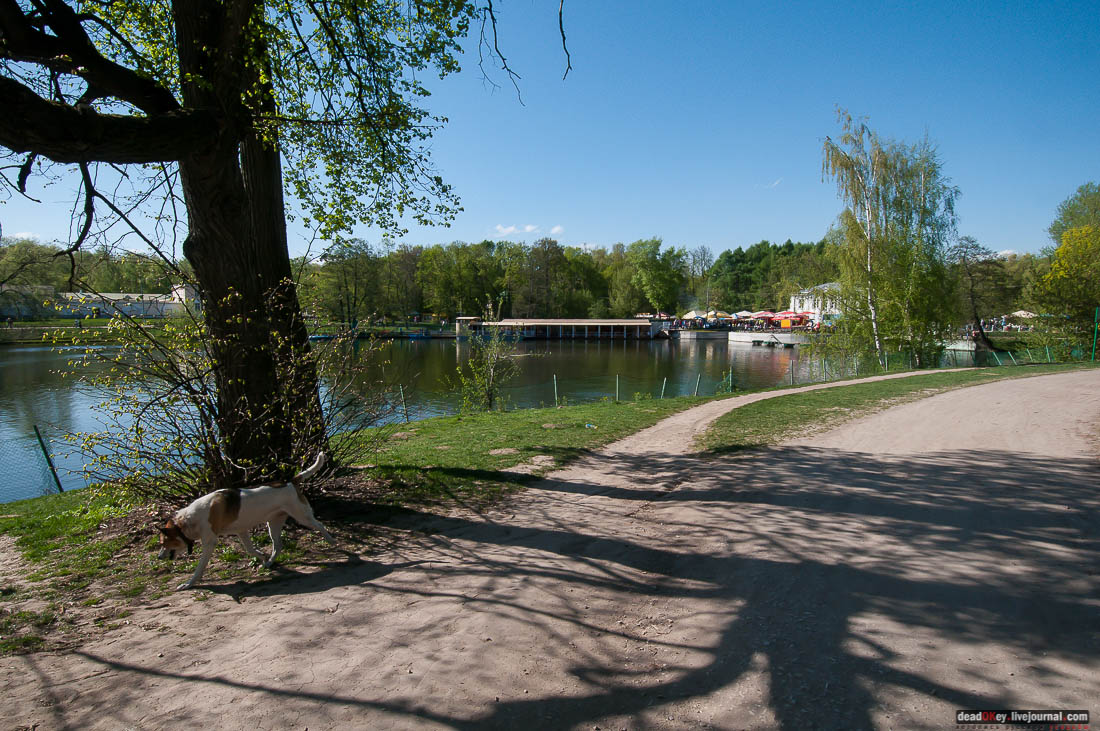 усадьба Кузьминки