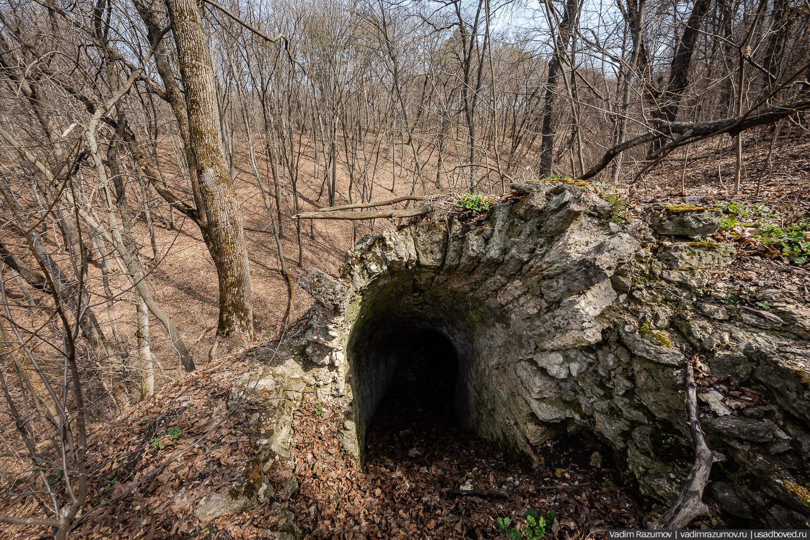 усадьба Шаталовка весной 2021 года, Липецкая область, Елец
