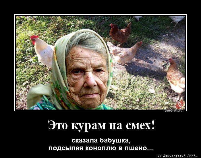 Несколько шуток