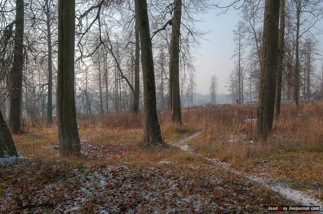Усадьба Глебово-Брусилово