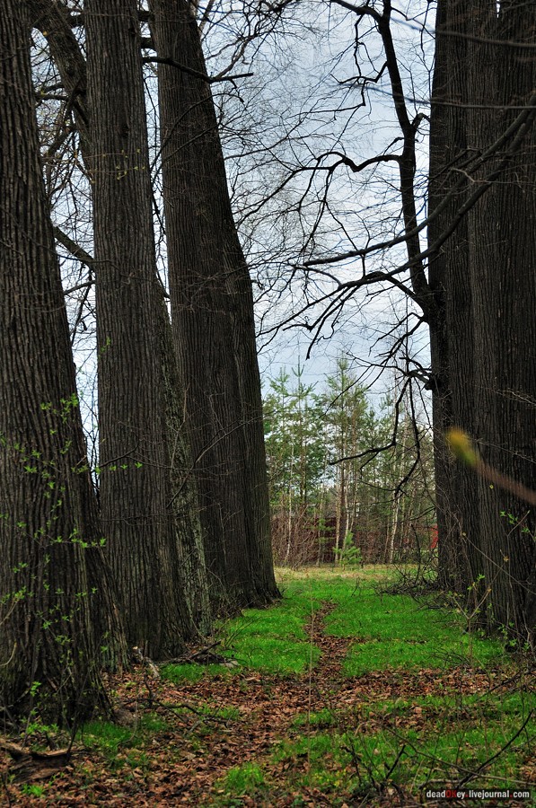усадьба Антипино