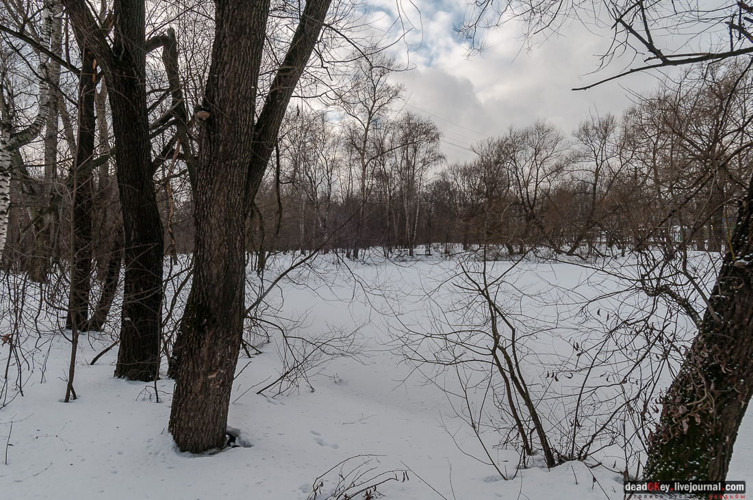 Вокруг Кусково