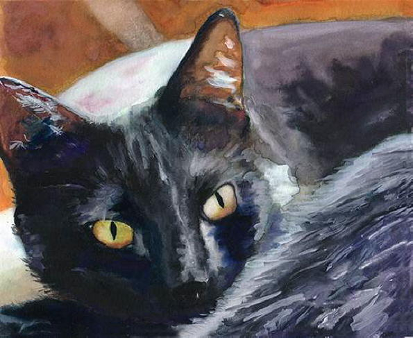 db_alex_carter-_black_cat1 (595x487, 185Kb)