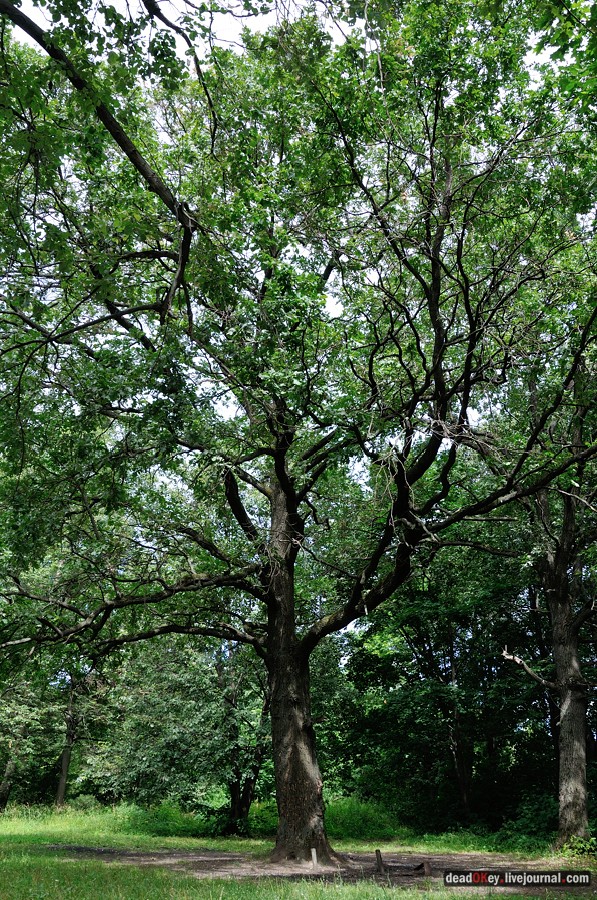 усадьба Троицкое (Мосрентген)