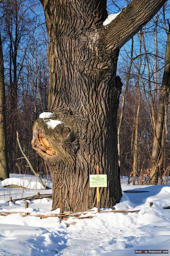 усадьба Архангельское-Тюриково