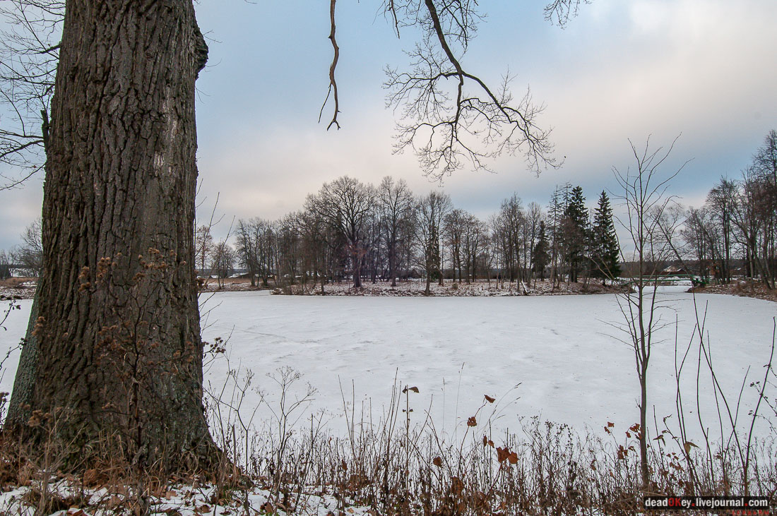 усадьба Ольгово