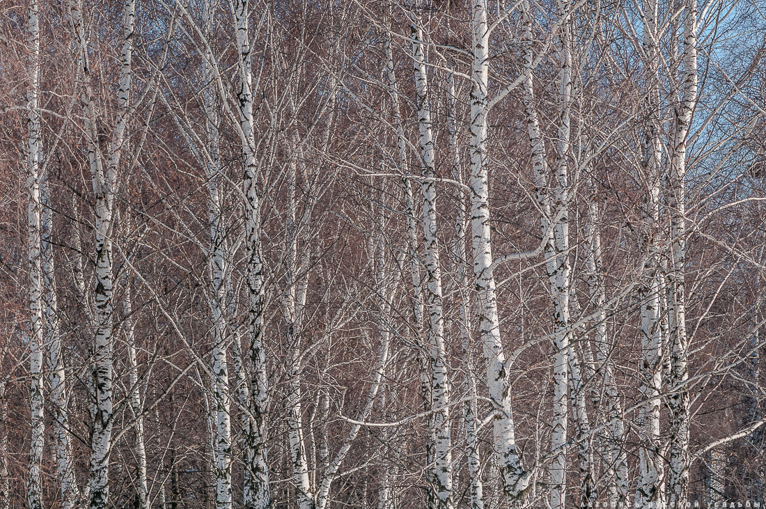 усадьба Константиново