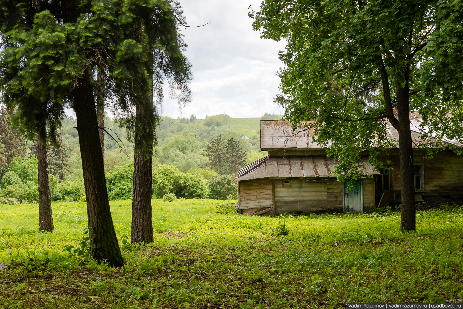 Мещерский дендрарий, ЛОСС, усадьба Барсуково, цветение сирени, Липецкая области