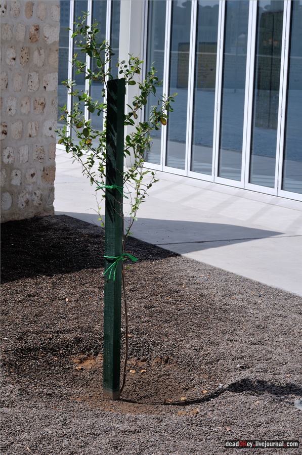 ОАЭ. Историческая часть Шарджи