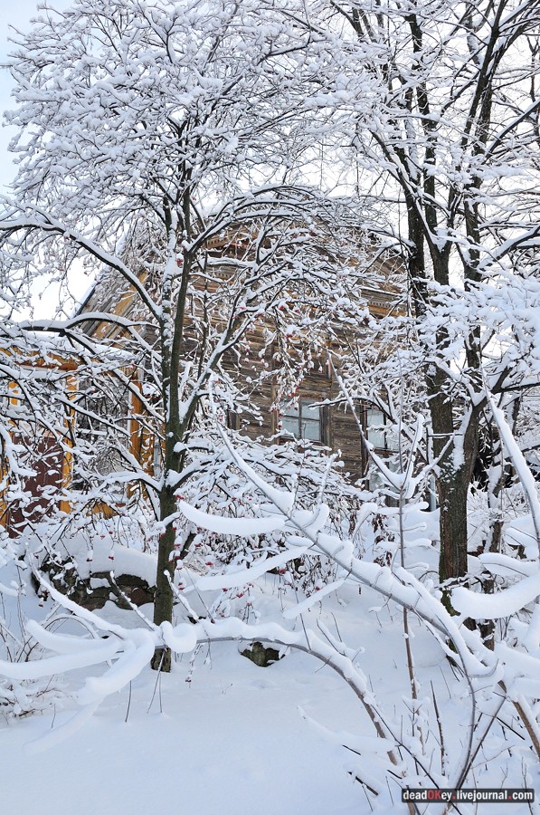 усадьба Красково