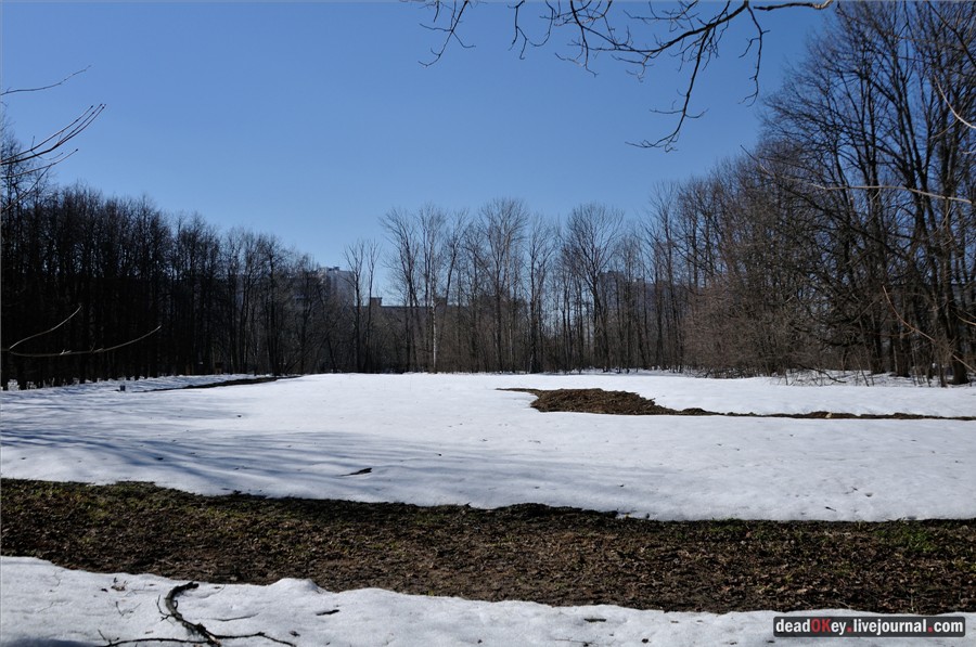 усадьба Узкое