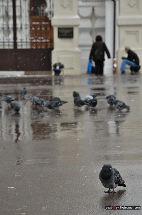 Черкизово