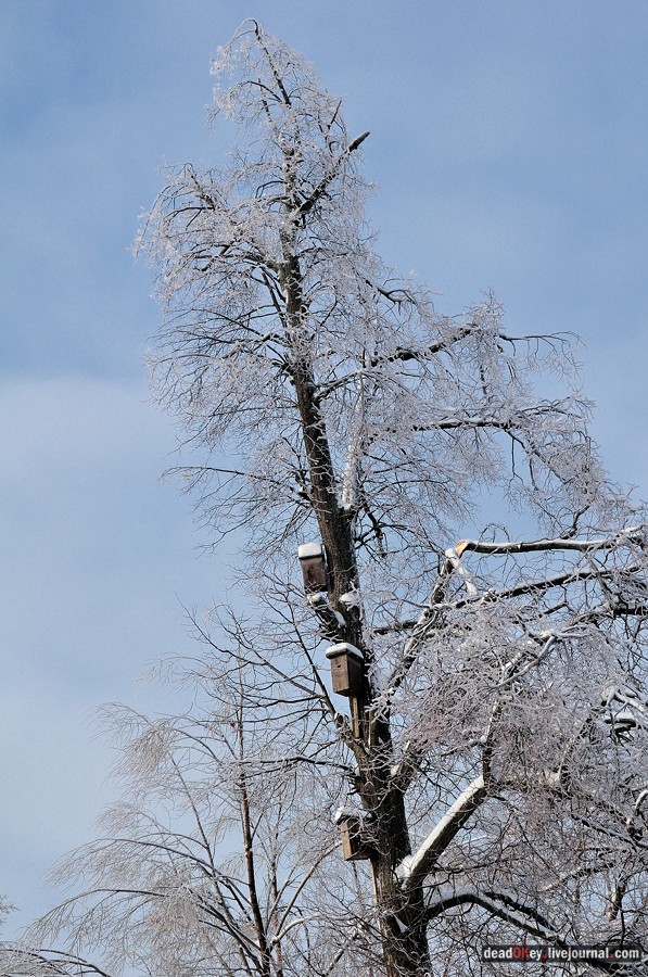усадьба Красково