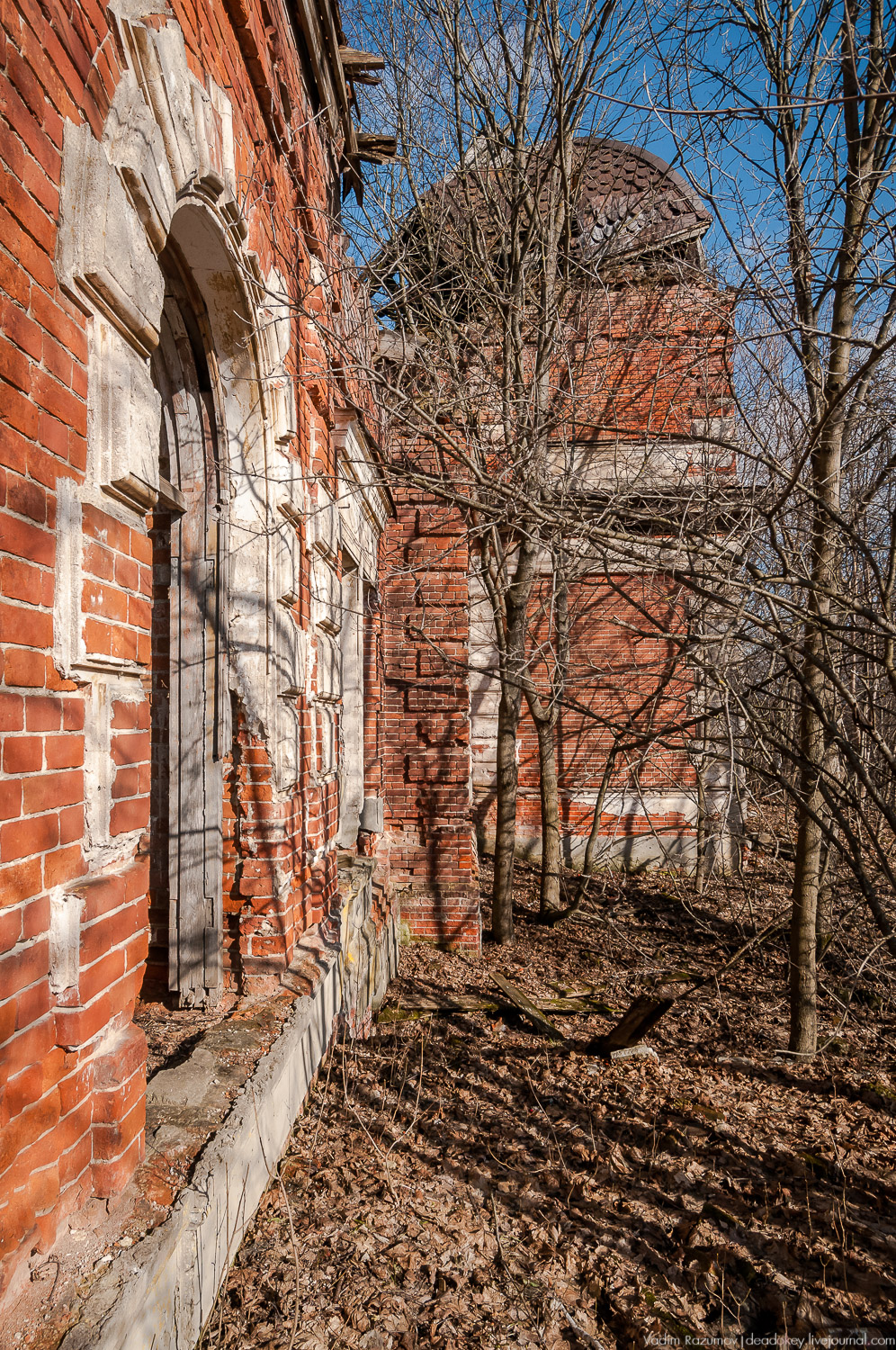 усадьба Соха