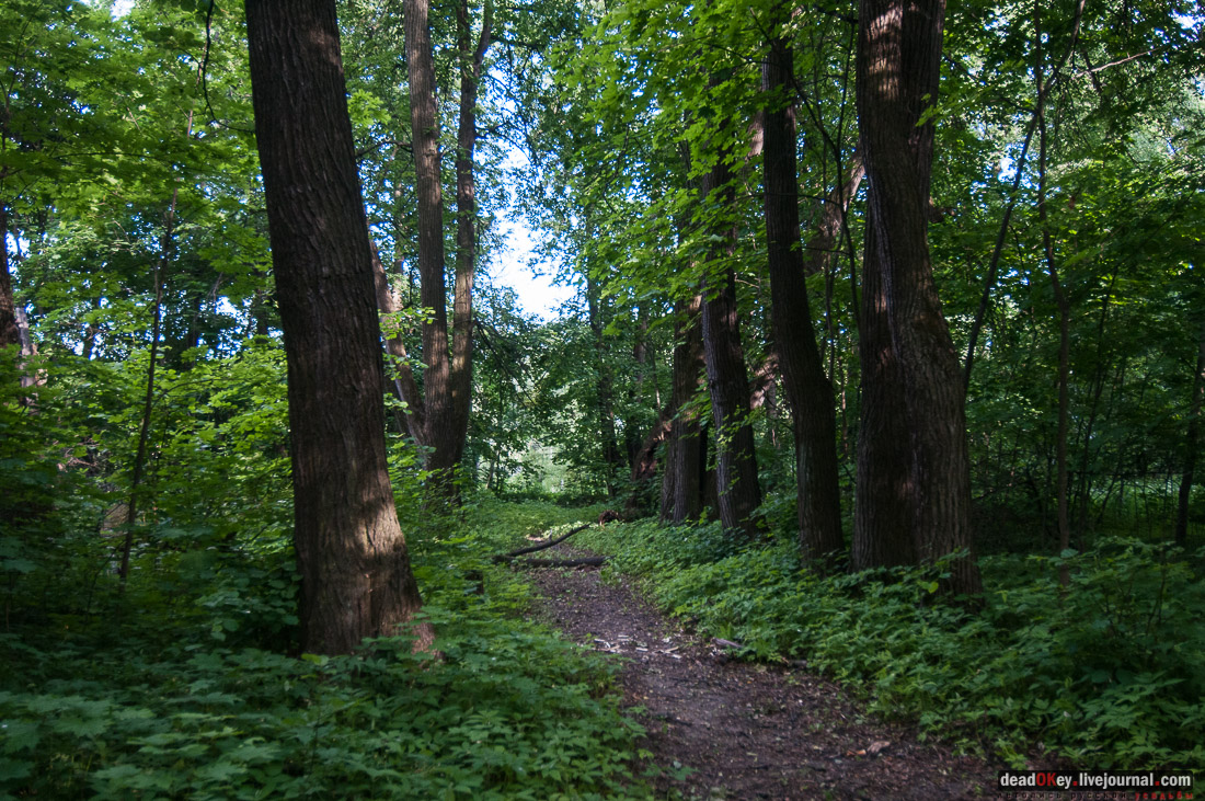 Усадьба Богородское-Кишкино