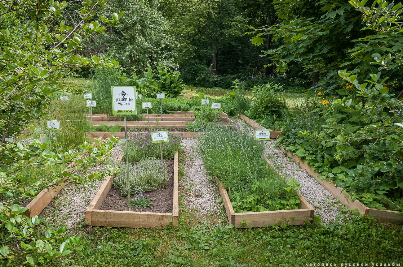 Усадебный экспресс. Дворяниново и Поленово.