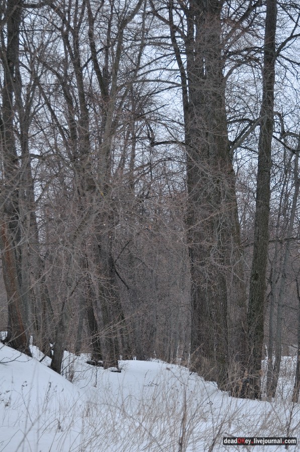 усадьба Троице-Лобаново