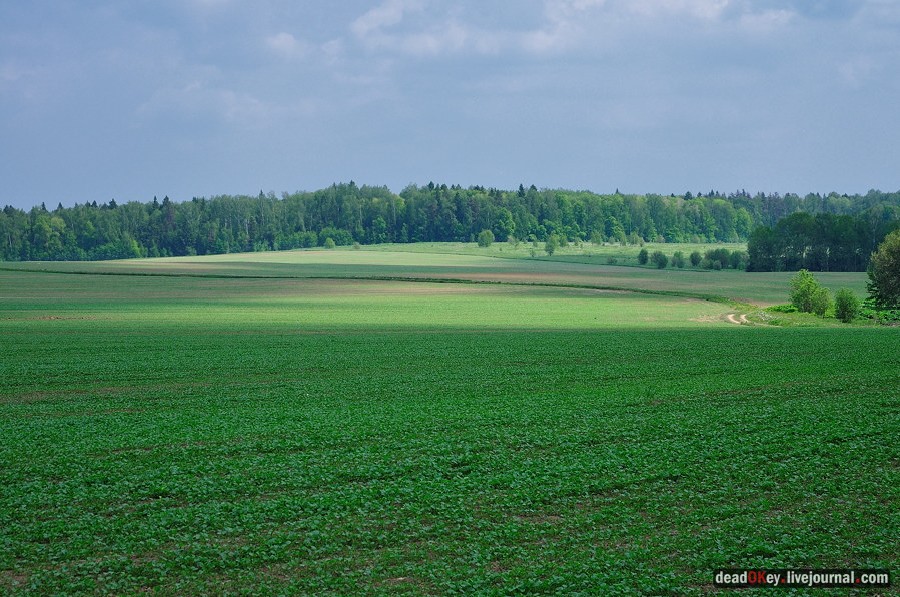 усадьба Спасское
