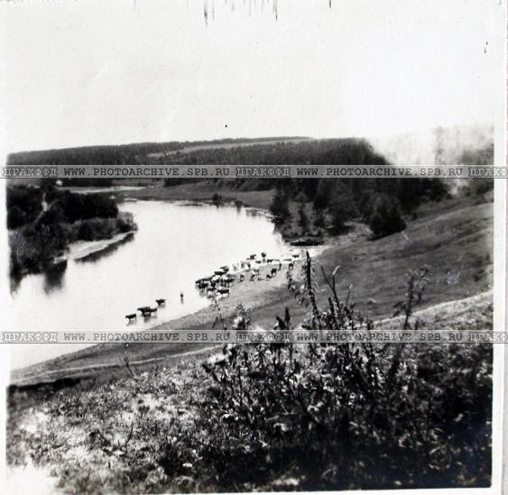 усадьба Городня