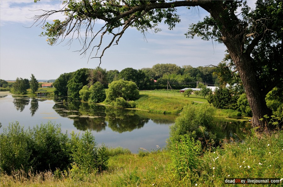 усадьба Троицкие Борки