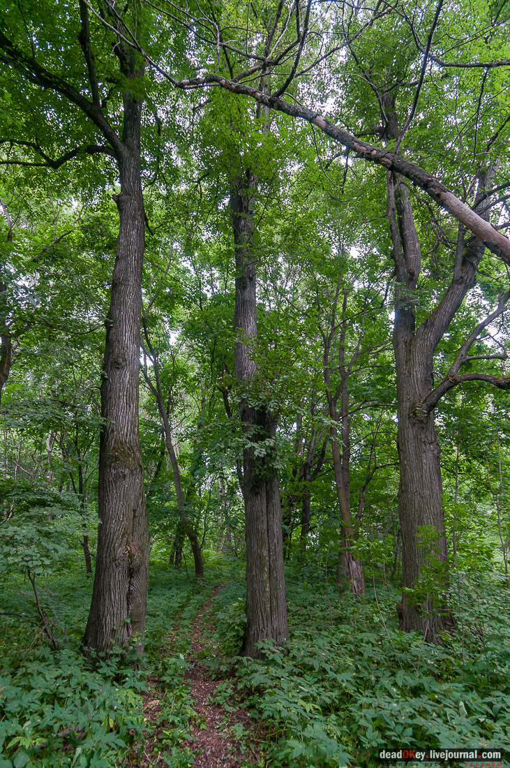 усадьба Дивово