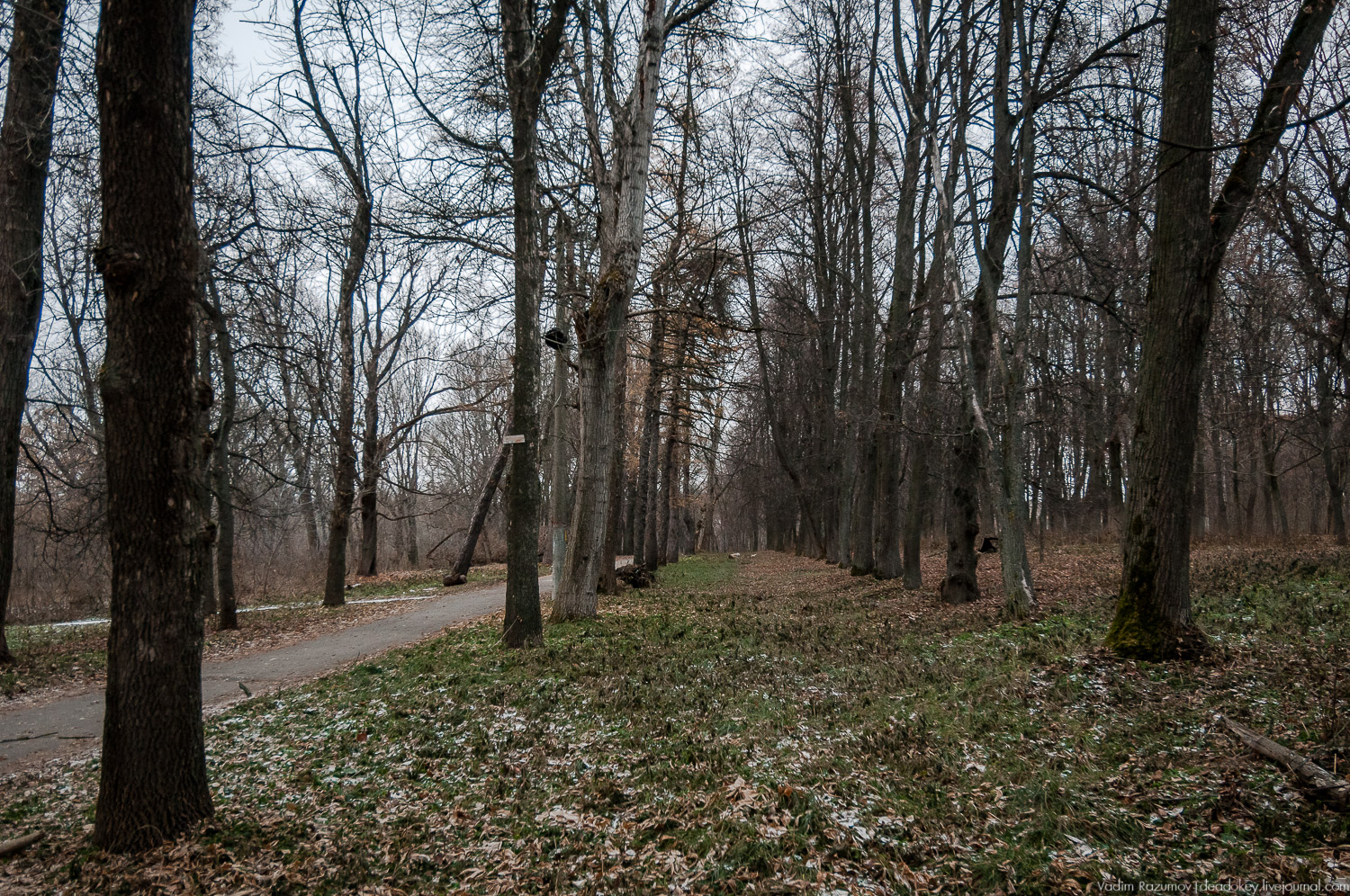 усадьба Бобрики Бобринских, Донской, Тульская область, музей