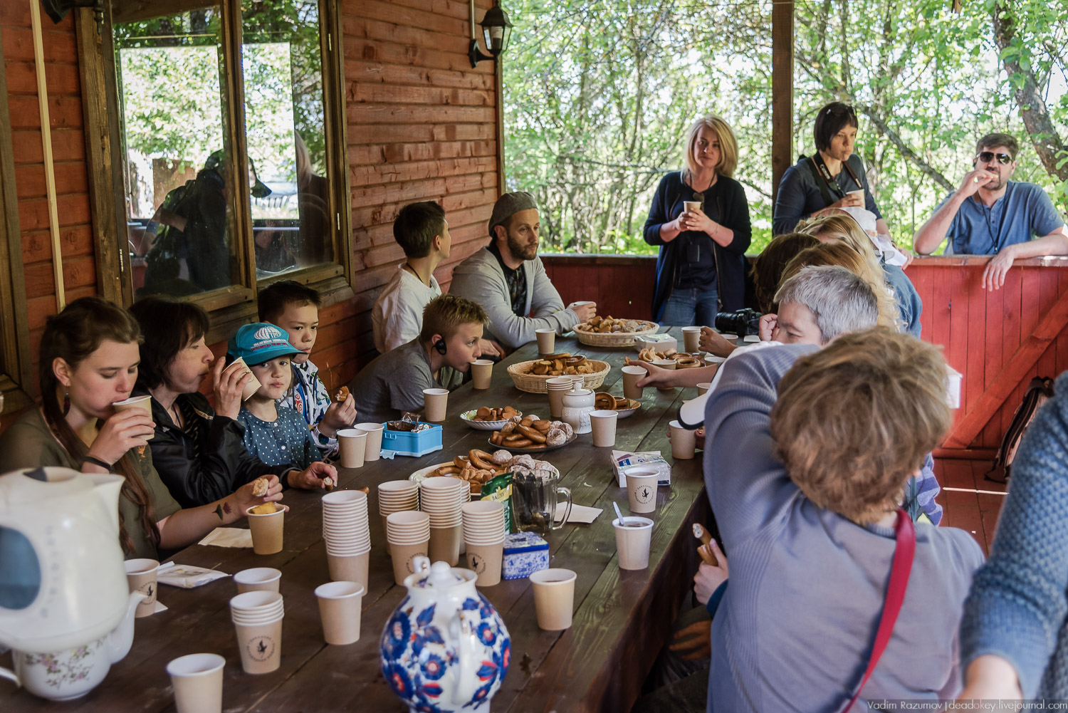 Экоэлектричка. Совиный фестиваль