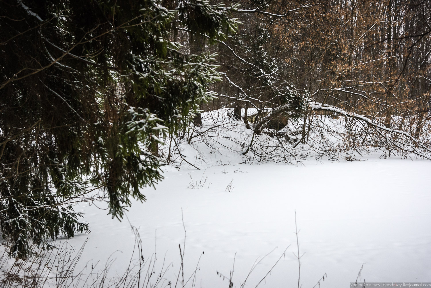 усадьба Знаменское-Садки