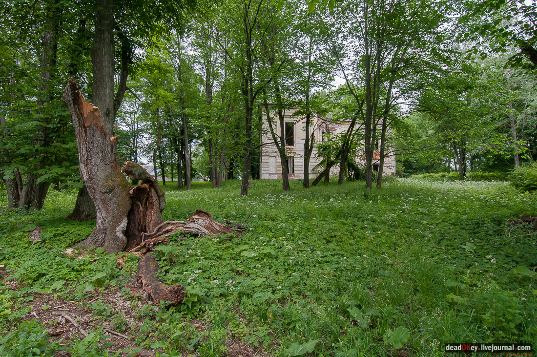 усадьба Никольское-Черенчицы