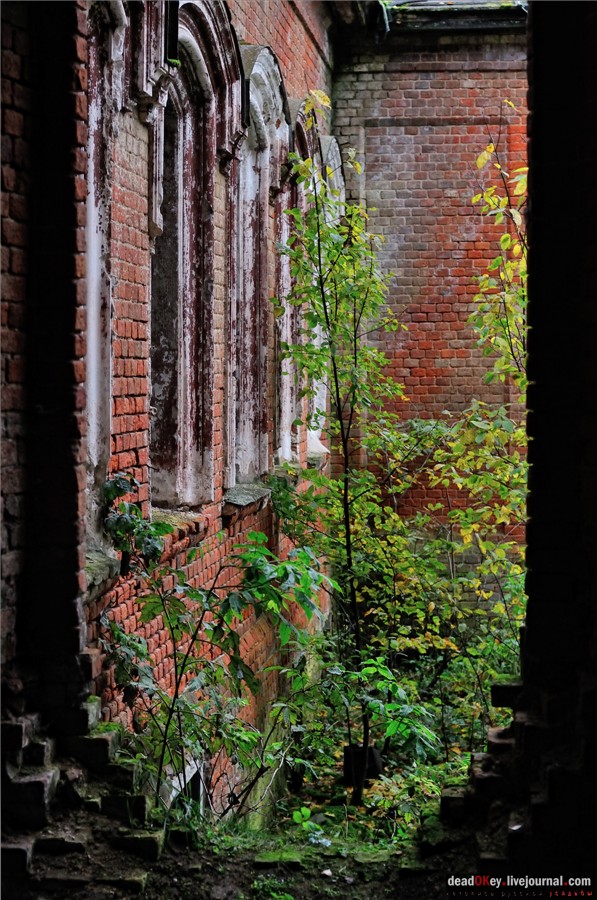 усадьба Федоровское