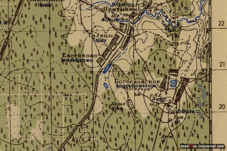 усадьба Богословское-Могильцы