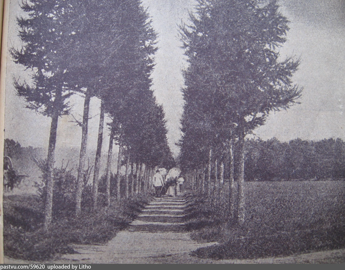 Вокруг Кусково